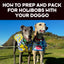 Taking your doggo on holiday with you? Fun!! Check out our checklist for how to prep and pack for your greyhound getaway!