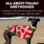 All About Italian Greyhounds