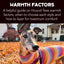 Choose the Perfect Warmth Factor for Your Doggo with the right Hound-Tee