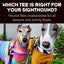 Which Hound-Tee Is Right For Your Sighthound?