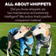 All About Whippets