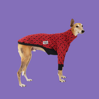 SWEATERS