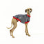 The Aussie Italian Greyhound Sleeveless Hound-Tee