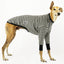 Baddie Greyhound Long Sleeve Hound-Tee