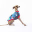 Birbs Italian Greyhound Sleeveless Hound-Tee