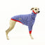 Blue Breton Whippet Long Sleeve Hound-Tee