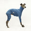 Blue Italian Greyhound Long Johns