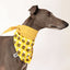 Buzzy Bandana