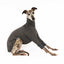 Mercury Whippet Long Sleeve Tweater