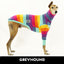 Daisy Greyhound Long Sleeve Tweater