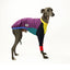 Frankie Jester Whippet Long Sleeve Hound-Tee