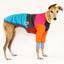 Frankie Jester Greyhound Sweater