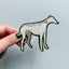 Bryony Moss Silver Hound Patch