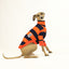 Jack-O-Lantern Italian Greyhound Long Sleeve Tweater