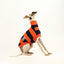 Jack-O-Lantern Italian Greyhound Sleeveless Tweater