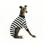 Jailbreak Whippet Long Sleeve Hound-Tee
