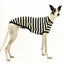 Jailbreak Greyhound Sleeveless Hound-Tee