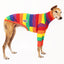 Jellybeans Greyhound Long Sleeve Tweater