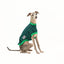 Kermit Italian Greyhound Sleeveless Hound-Tee