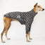 Lightning Greyhound Quilted Sweater