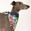 Lil Monster Bandana