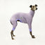 Lilac Whippet Long Johns