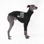 *MADE TO ORDER* Long Dog Club Whippet Hound-Tee