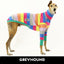 Molly Greyhound Long Sleeve Tweater