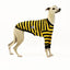 Odlaw Whippet Long Sleeve Hound-Tee