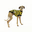 Odlaw Italian Greyhound Sleeveless Hound-Tee
