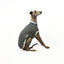 Rebel Whippet Sleeveless Hound-Tee