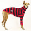 Red Rugby Greyhound Long Sleeve Tweater