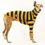 Rugbee Greyhound Long Sleeve Tweater