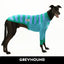 Run Free Greyhound Long Sleeve Hound-Tee