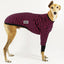 Sk8er Hound Greyhound Long Sleeve Hound-Tee