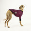 Sk8er Hound Iggy Long sleeve Hound-Tee