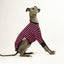 Sk8er Hound Whippet Long Sleeve Hound-Tee