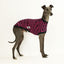 Sk8er Hound Whippet Sleeveless Hound-Tee