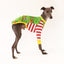 Snootmas Express Whippet Long Sleeve Hound-Tee