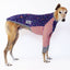 Snooty Spells Greyhound Long Sleeve Hound-Tee