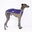 Snooty Spells Whippet Long Sleeve Hound-Tee