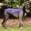 Snooty Spells Greyhound Long Sleeve Hound-Tee