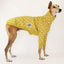 Spark Greyhound Quilted Sweater