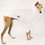 Made to Order: UV Sun Suit ALL BREEDS