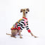Swoopy Boi Italian Greyhound Long Sleeve Hound-Tee