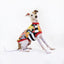 Swoopy Boi Italian Greyhound Sleeveless Hound-Tee