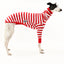Wally Greyhound Long Sleeve Hound-Tee