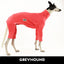 Watermelon Greyhound Snoot Suit