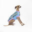 Whoopsie Daisy Italian Greyhound Sleeveless Hound-Tee