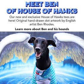 Meet Ben from House of Hawks